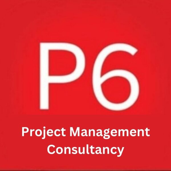 Project Management Consultancy